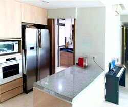 The Topiary (D28), Condominium #486680781